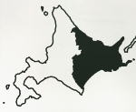 インクジェットプリント_帆布(キナリ)
