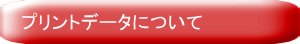 プリントデータについて